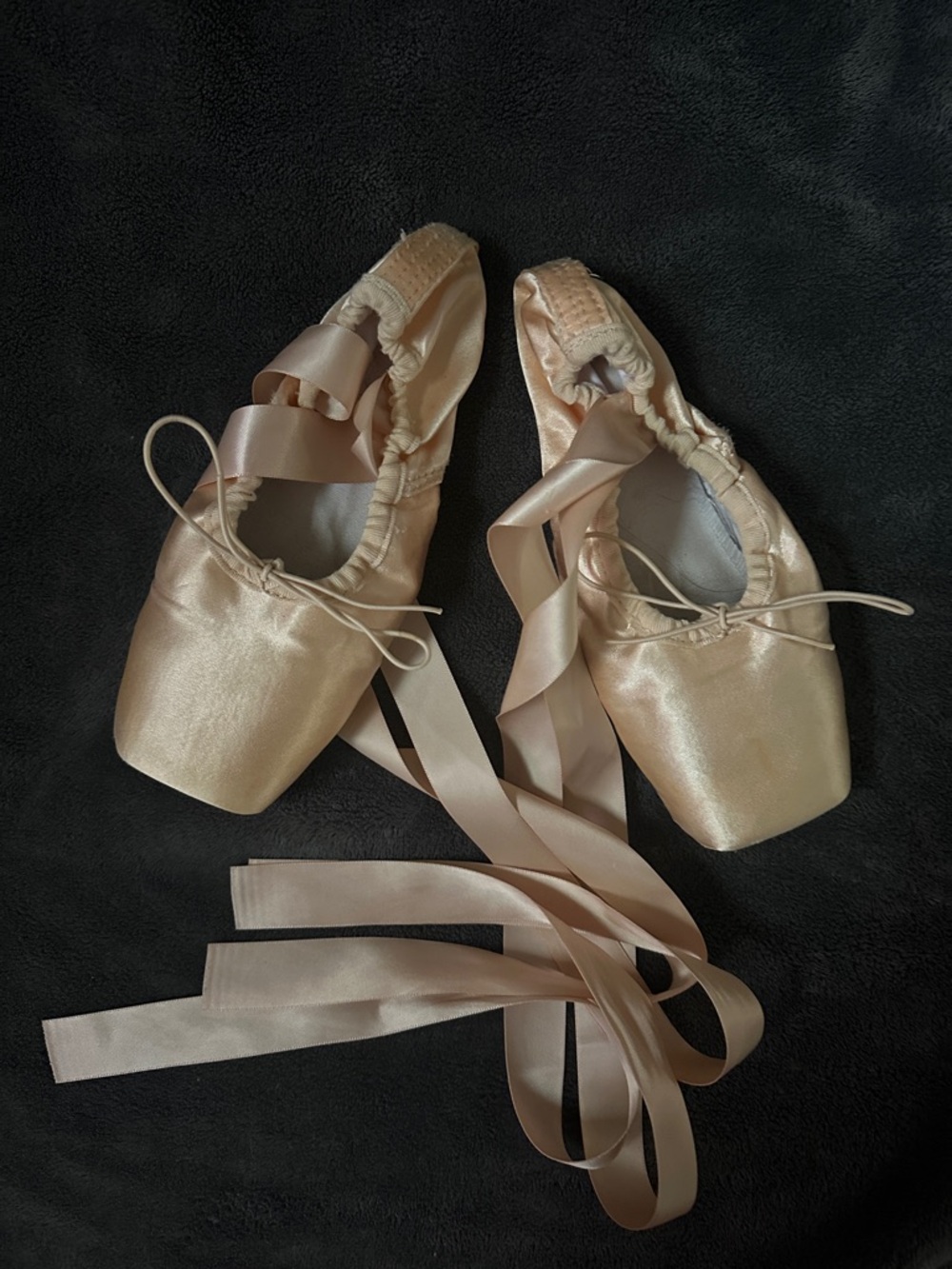 Decorative Ballet Pointe Shoes in Blush Satin